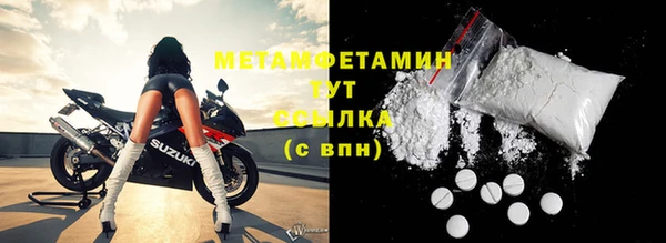 прущие грибы Костерёво