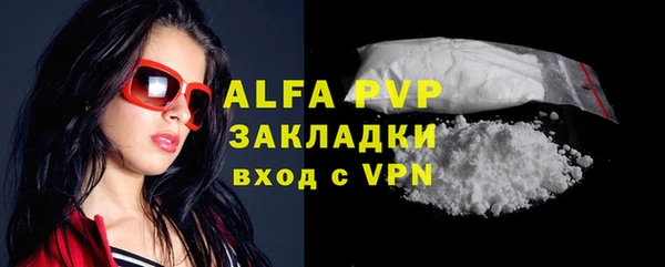 спиды Корсаков