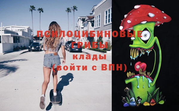 прущие грибы Костерёво