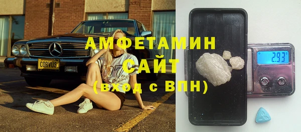 сатива Козельск