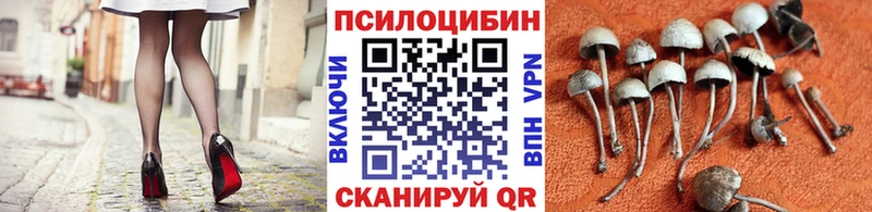Купить закладки  Маркс  Галлюциногенные грибы Magic Shrooms 